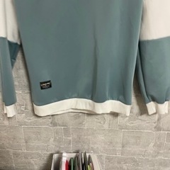 ブルーロンTの画像
