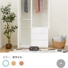 マルチタンス(クエスT 100MT WH)の画像