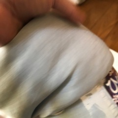 断捨離中 ハーフサイズ 接触冷感 肌布団の画像