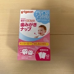 歯磨きナップ　42包入り　41包