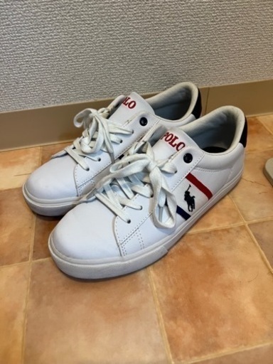 POLO スニーカー