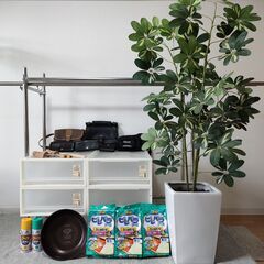 ブランド財布バッグ 業務用ハンガー 無印良品 造花その他色々
