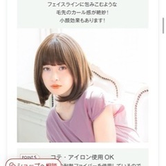 【値下げ】ボブのフルウィッグ　ウィッグネットつき