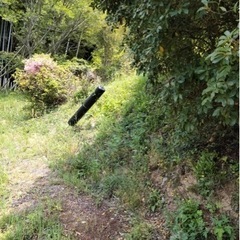 6月20日頃から残り１名になりました！