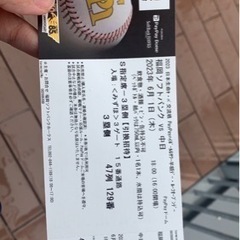 ハイボール、サワー半額DAY