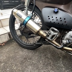 カブ(juju)の画像