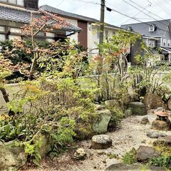 🍓 剪定  お庭再生🙂 植木🪚✂️作業💈         - 岐阜市