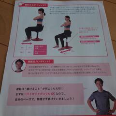 保阪尚希　美フォームスクワットの画像