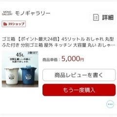 ゴミ箱 45リットル 大容量 2個セット おしゃれ 屋外