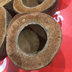 ヤシの実の鉢の画像