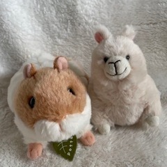 ハムスター＆アルパカぬいぐるみセット