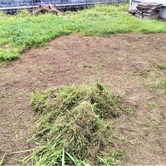 🍓 雑草生える前に 防草シート張り😊 一年間のアフターケア付き。　　　　　　    - 地元のお店