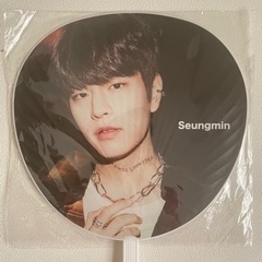 straykids スキズ スンミン ソリクン うちわ