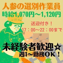 【日払い・週払い可】十勝の繁忙期求人！《夜勤》人参の選別作業員募...