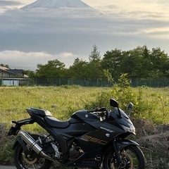 今週の日曜〜！