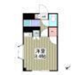 柏🏠敷金礼金なし🌸1R✨フリーレント１か月🌸