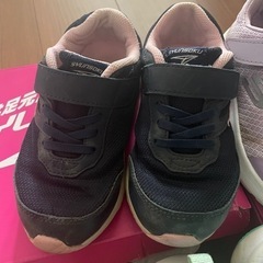 瞬足2足&スケッチャーズ19cmの画像