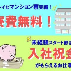 仕分け・シール貼り　お金なし・家なし可