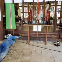 白蟻点検、見積もり