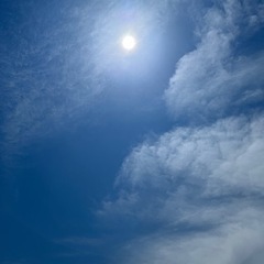 健康や美容、料理やダイエットに興味のある方