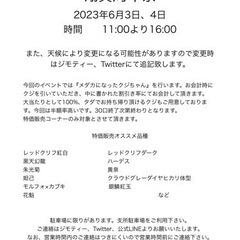 ✨✨翔真周年祭、追記✨✨