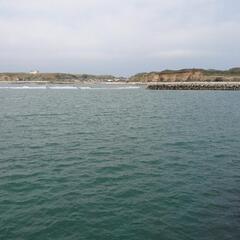 釣り🎣教えて下さい！