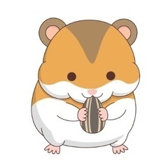 ハムスターを見てくれる病院を探しています