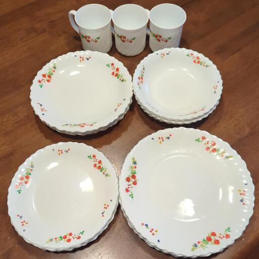 フランス製　強化ガラス食器　iwaki イワキ ファミエット フランボワーズ 22点セット