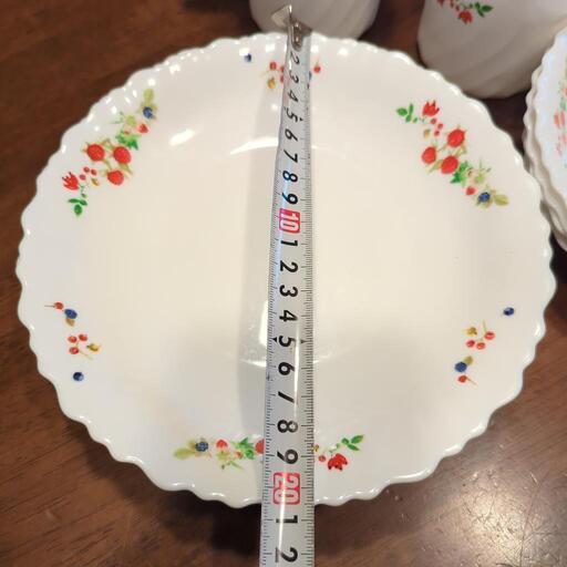 フランス製　強化ガラス食器　iwaki イワキ ファミエット フランボワーズ 22点セット