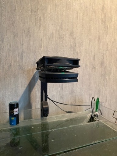 海水水槽 引退 一式 まとめ