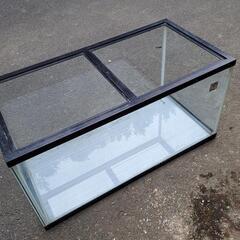 めだか等の飼育に90㎝水槽はいかがですかの画像