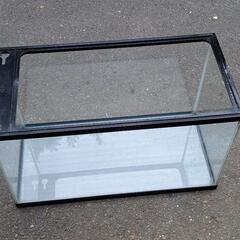 めだか等の飼育に60㎝の水槽の画像