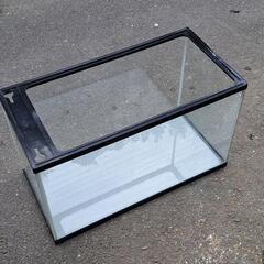 めだか等の飼育に60㎝の水槽の画像