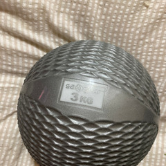 トレーニング用品　サンドボール？