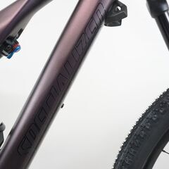 SPECIALIZED「スペシャライズド」LEVO SL COMP CARBON 2021年モデル 電動アシスト自転車