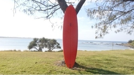 オーストラリア産　vouch. ミッドレングス