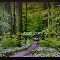 液晶モニター PHILIPS 24インチ WUXGA(1920×1200) IPS C240P4QPYEW/11 ホワイトベゼルの画像