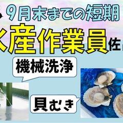 【短期☆早い時間のお仕事♪】水産加工作業〈佐呂間〉