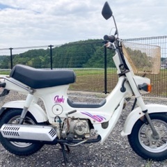 【売約済み】シャリー50 最終型 50cc 実働 整備済みの画像