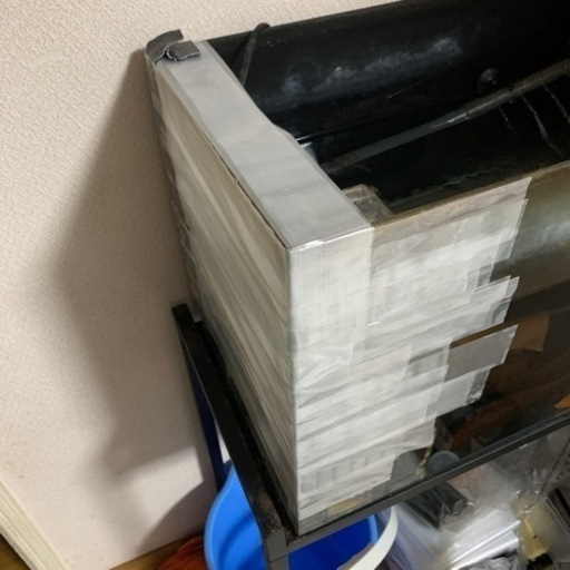 引き渡し者決まりました。　近日中に飼育セット投稿します