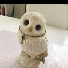 フクロウの貯金箱の画像