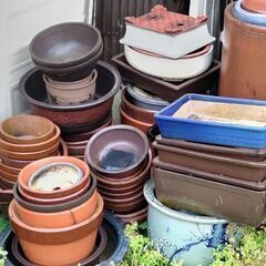 各種植木鉢 全部まとめて1０００円