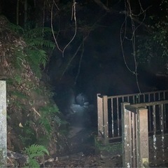 心霊好きな方 − 宮崎県
