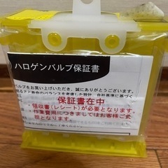 ライジングイエロー   の画像