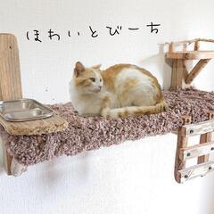 流木キャットベッドNo.5『ふわ部屋』