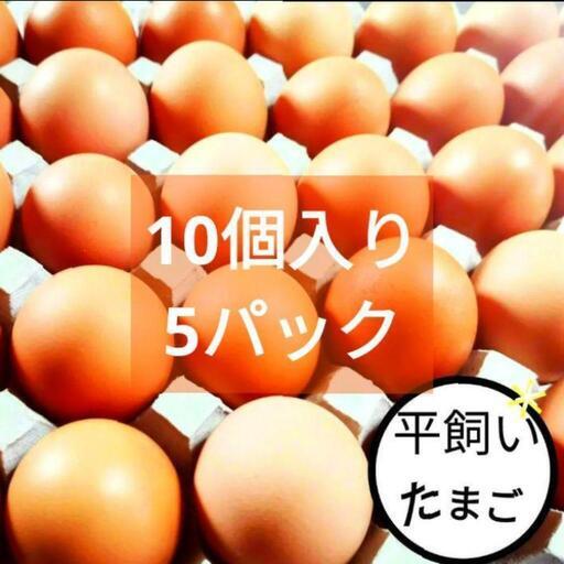 平飼いの高原卵　10個入り5パック　国産　新鮮