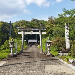 ★☆岐阜市石谷　売土地☆★☆約５０坪　建築条件無☆★ - 不動産