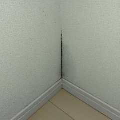 ハウスクリーニングで綺麗にできない壁紙の汚れや変色、傷が気になっ...
