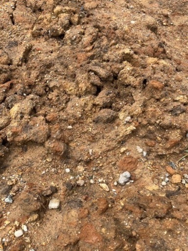 残土引取りお願いします‼️