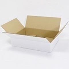 【新品】白ダンボール箱 浅型タイプ A3サイズ対応【宅配100サイズ(3辺90cm)】の画像